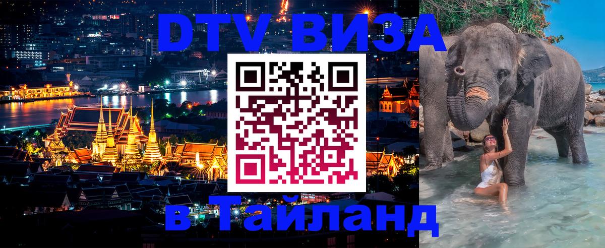 Оформление DTV визы под ключ: стоимость и тарифы, только загранпаспорт - 20.11.2025 